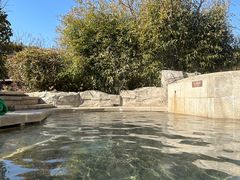 -大连金石滩绿发温泉假日酒店