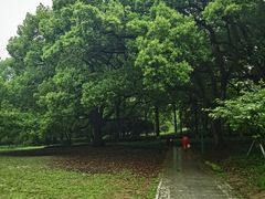 -杭州植物园