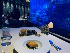 -迪拜帆船酒店海底餐厅