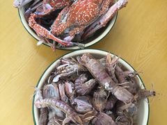 -硇洲岛旅游区