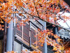 -鱼桥巷·美学川菜