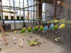 景点-南宫五洲植物乐园