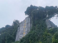 -云南野生动物园
