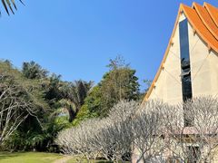 -中国科学院西双版纳热带植物园