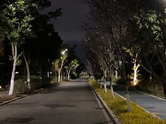 -三垟湿地
