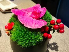-柿合缘新京菜(国金中心商场店)