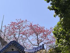 -广州中山纪念堂
