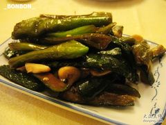 黄瓜-蓬莱春(芝罘店)