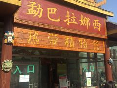 -呀路古热带植物园