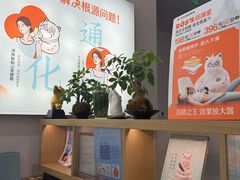 -长风拨筋养身(金虹桥店)
