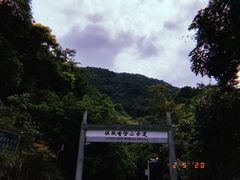 -银瓶嘴森林公园