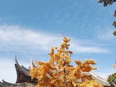 -龙华寺