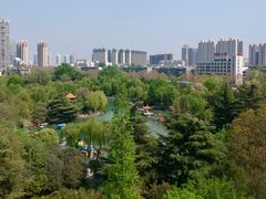 -洛阳市牡丹公园