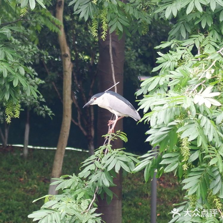 水上巴士7号线，体味老杭州的味道