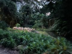 -夜间野生动物园