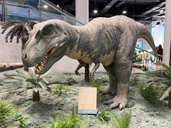-辽宁古生物博物馆