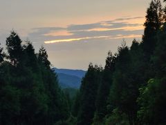 -重庆睡佛山森林公园