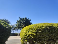 -大理洱海