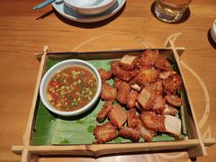 -菌自由丨野生菌火锅特色庭院餐厅(丽江古城店)