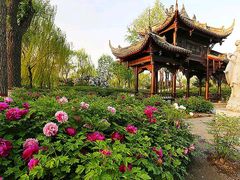 -石家庄市植物园