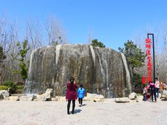 -合肥滨湖国家森林公园