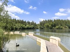 -东平国家森林公园