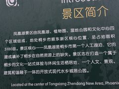 -桐乡凤凰湖
