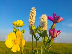 -敕勒川草原文化旅游区