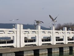 -云龙湖旅游景区