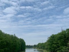 -上海海湾国家森林公园