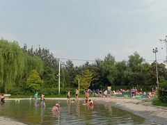 -柳浪游泳场