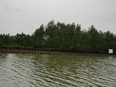 -东寨港红树林旅游区