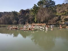 -宁波野生动物园