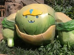 -七彩云南欢乐世界