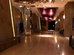 -海南椰子鸡餐厅(三亚湾红树林店)