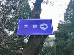 -武汉大学-樱园