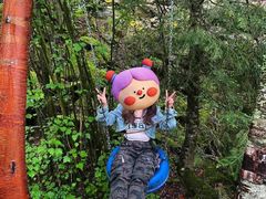 -叠溪松坪沟景区