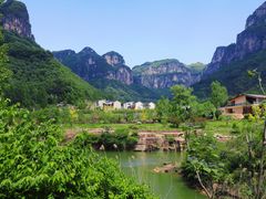 -王莽岭风景区