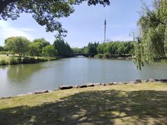 -九里河湿地公园