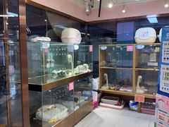 -FAELING PETS美天灵宠物(富力广场店)