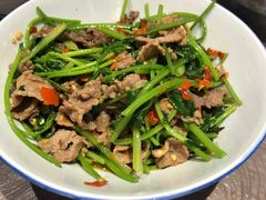 香菜炒牛肉-壹盏灯(惠农店)