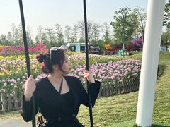 -荷兰花海