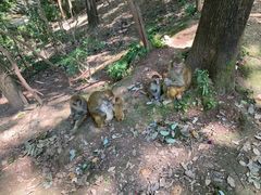 -黔灵山公园