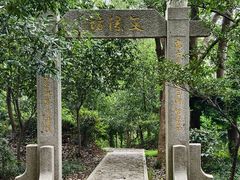 -上海佘山国家森林公园天马山园