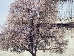 -唐城墙遗址公园