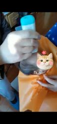 -龙文宝贝上门婴儿理发满月剃胎毛(浦东店)