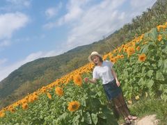 -亚龙湾国际玫瑰谷