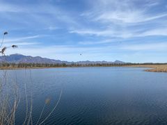 -野鸭湖国家湿地公园