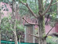 -金堂县云顶石城风景区