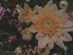 -小胖私厨状元宴·东北私房菜馆